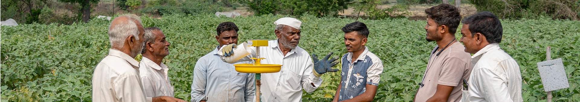 Development Projects